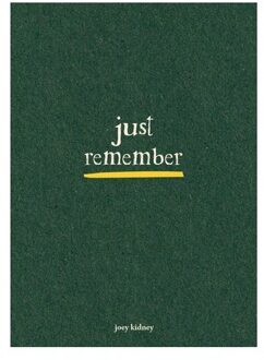 Just Remember - Joey Kidney