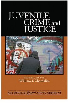 Juvenile Crime and Justice