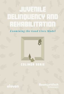 Juvenile Delinquency and Rehabilitation - Colinda Serie - ebook