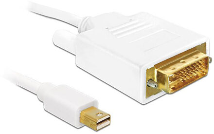 Kabel Displayport mini Stecker - DVI 24pin Stecker