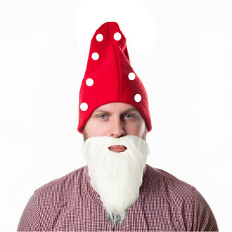 Kabouter/dwerg 2x verkleed sets - rode kaboutermuts met witte lange baard - voor kinderen