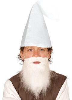 Kabouter/dwerg verkleed set - witte kaboutermuts met witte lange baard - voor volwassenen
