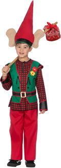 Kabouterjongen Kostuum Premium Multikleur - Print