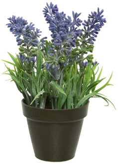 Kaemingk Groen/paarse Lavendula/lavendel kunstplant 17 cm in zwarte pot