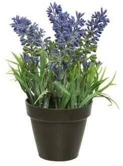 Kaemingk Kunstplant - lavendel - paars - 17 cm - in pot