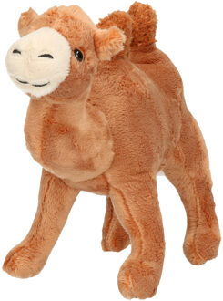 Kameel knuffel - pluche - bruin - 22 cm - Woestijn dieren - knuffeldier Multi