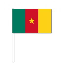Kameroen zwaai vlaggetjes 12 x 24 cm