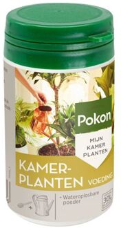 Kamerplanten Voeding Poeder - 100gr