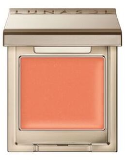 KANEBO Lunasol Mono Eye Coloration EX11C Leather Begie