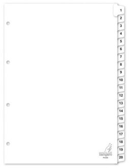Kangaro 5x A4 formaat tabbladen genummerd nummer 1-20 4 gaats/rings ordnermappen