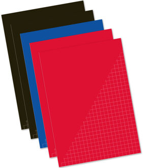 Kangaro Ruitjesschriften - 5x stuks - wiskunde schriften - A4 - gekleurd