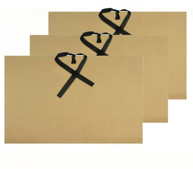 Kangaro tekeningenmap opbergmap - 3x - A3 - 500 grams - karton - met klemmen