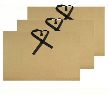 Kangaro tekeningenmap opbergmap A4 formaat - 3x - 500 grams - karton - beige