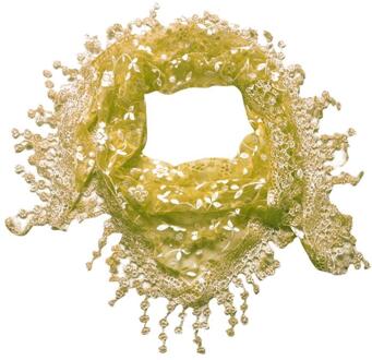 Kant Kwastje Bloemenprint Vrouwen Sjaals Sjaal Solid Herfst Winter Sjaal voor Vrouwen Dames shawl Sjaal # YL5 geel