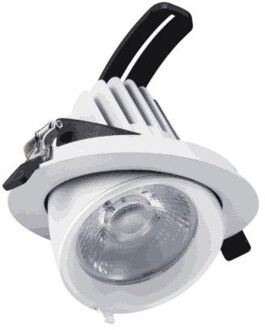Kantelbare LED Downlight 24 Watt - COB - 165mm - 60°