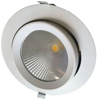 Kantelbare LED Downlight 30 Watt - COB - 3000Lm - Ø200x155mm - 30°