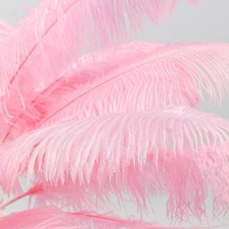 Kare Feather Palm tafellamp met veren, pink pink, messing