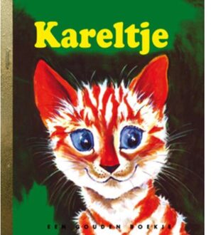 Kareltje - Boek D. Fox Downs (9054449349)