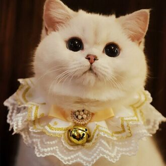 Kat Accessoires Halsband Accessoires Hond Harnas Dier Mascotas Leash Perros Chiens Arnes Perro Peque? O Harnas Voor Huisdieren Leuke L-groot