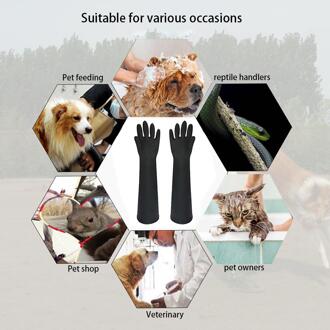 Kat Grooming Handschoen Pet Handschoen Duurzaam Krasbestendig Waterdichte Handschoen Baden Massage Borstel Schoon Kam Handschoen Voor Kat En hond