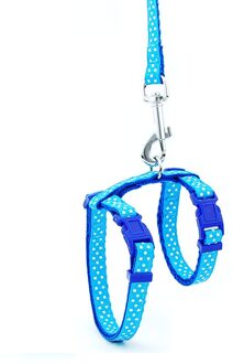 Kat Halsband Harness Leash Verstelbare Nylon Huisdier Tractie Kat Kitten Halter Kraag Gato Katten Producten Huisdier Harnas Riem Dot blauw