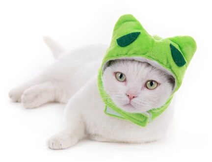 Kat Hoofddeksels Zacht En Comfortabel Leuke Dierlijke Vorm Kat Hoofddeksels Warm Kat En Hond groen