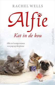 Kat in de kou - Rachel Wells - ebook