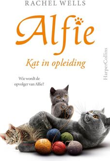 Kat in opleiding -  Rachel Wells (ISBN: 9789402773910)