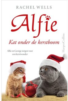 Kat Onder De Kerstboom - Alfie - Rachel Wells