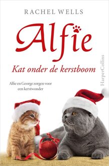 Kat onder de kerstboom - Rachel Wells - ebook