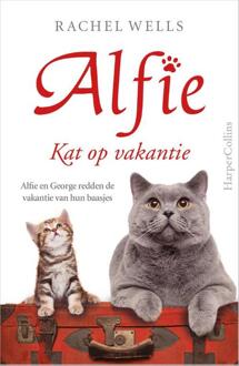 Kat Op Vakantie - Alfie