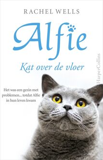 Kat over de vloer - eBook Rachel Wells (9402751688)