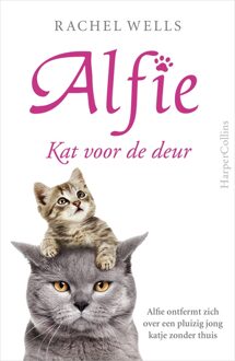 Kat voor de deur - eBook Rachel Wells (9402755950)