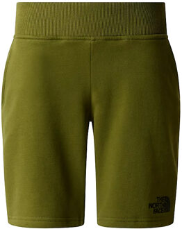Katoenen Bermuda Shorts The North Face , Green , Heren - 2Xl,Xl,L,M,S