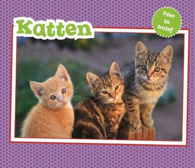 Katten - Boek Christina Gardeski (946341178X)
