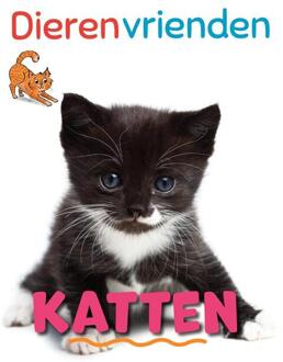 Katten - Dierenvrienden - Katie Woolley