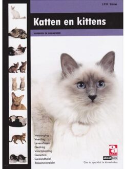 Katten en kittens - Boek Jean Steijns (9058216071)