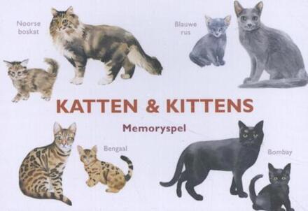 Katten & Kittens - (ISBN:9789492938138)