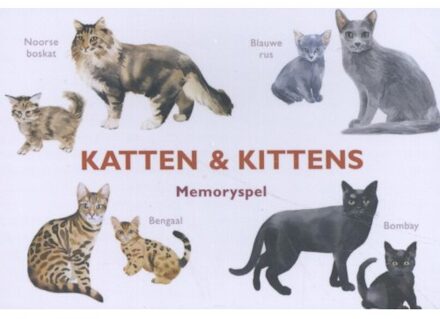 Katten & Kittens - (ISBN:9789492938138)