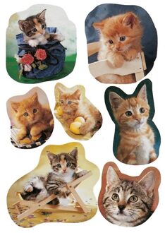 Katten/poezen dieren stickers - 21x stuks op vel - kinderstickers - stickervellen - knutselspullen Multi