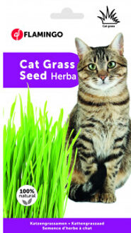 Kattenspeelgoed gras