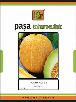 KAVUN TOHUMU- ANANAS 10 GR