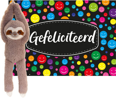 Keel Toys Cadeaukaart Gefeliciteerd met knuffeldier luiaard 50 cm - Knuffeldier Multikleur