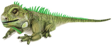 Keel Toys pluche Leguaan - knuffeldier - groen - staand - 65 cm