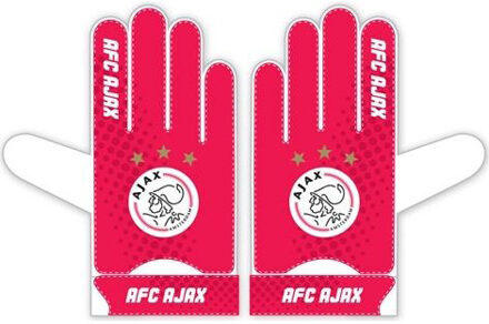 keepershandschoen - maat L