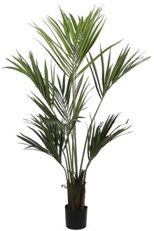 Kentia Kunstpalm - H150 x Ø90 cm - Plastic Pot - Groen