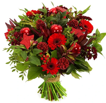 Kerst bloemen rood - groen