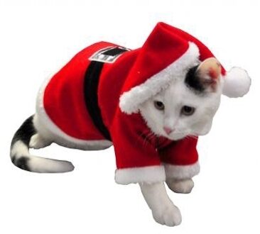 Kerst kostuum voor hond of kat - One size