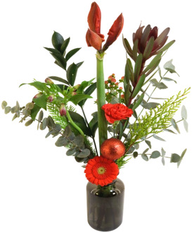 Kerstbloemen Amaryllis incl. glazen vaas