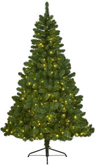 Kerstboom Imperial Pine210cm+LEDverlicht Groen